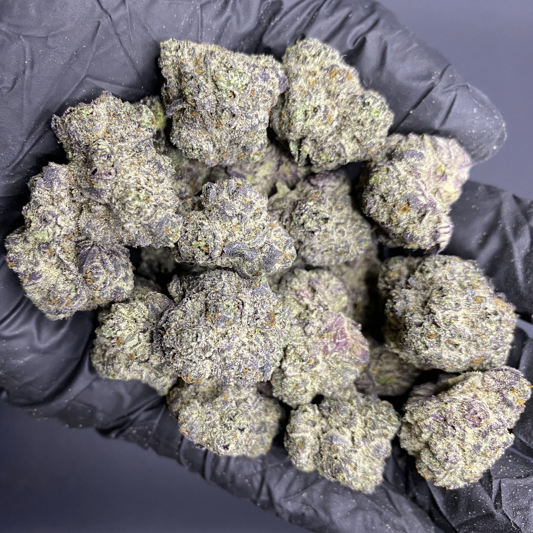 Fort lauderdale weed delivery: What to Expect from Quality Services