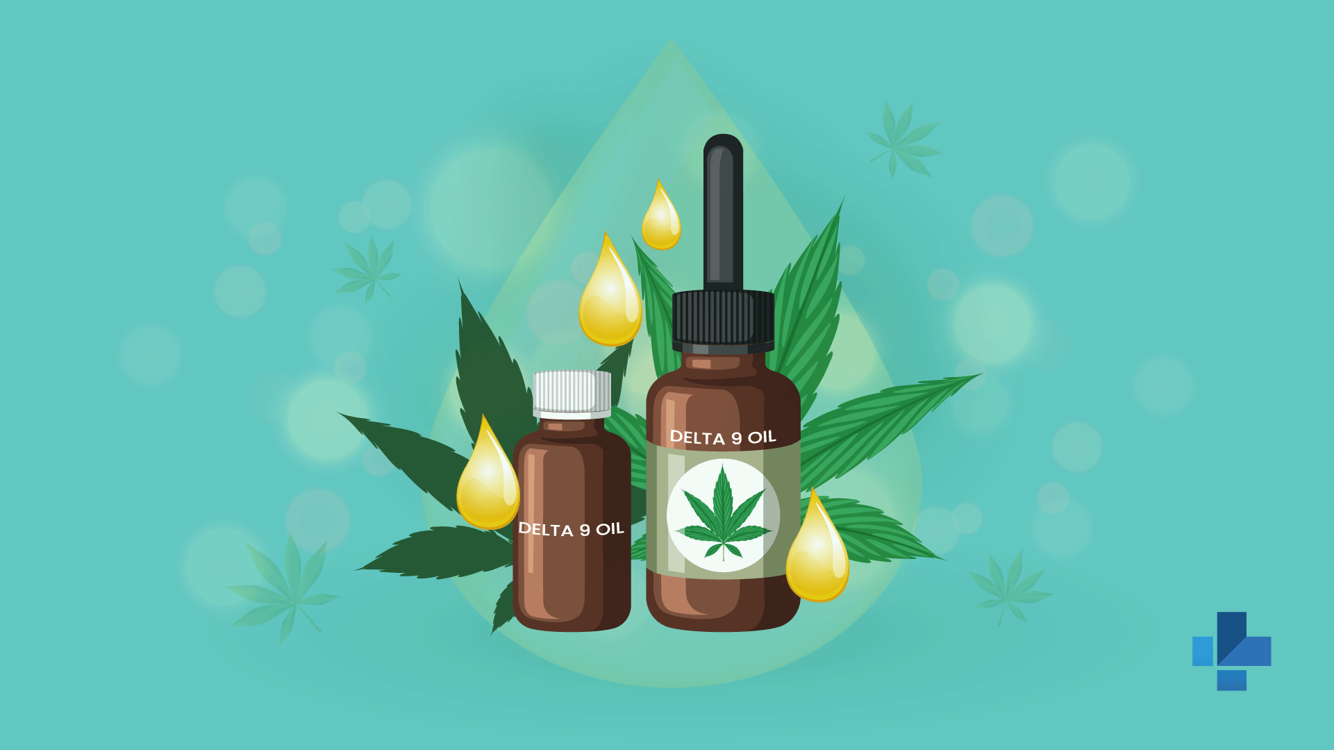 Delta 9 Explained: Understanding Its Effects and Legal Status