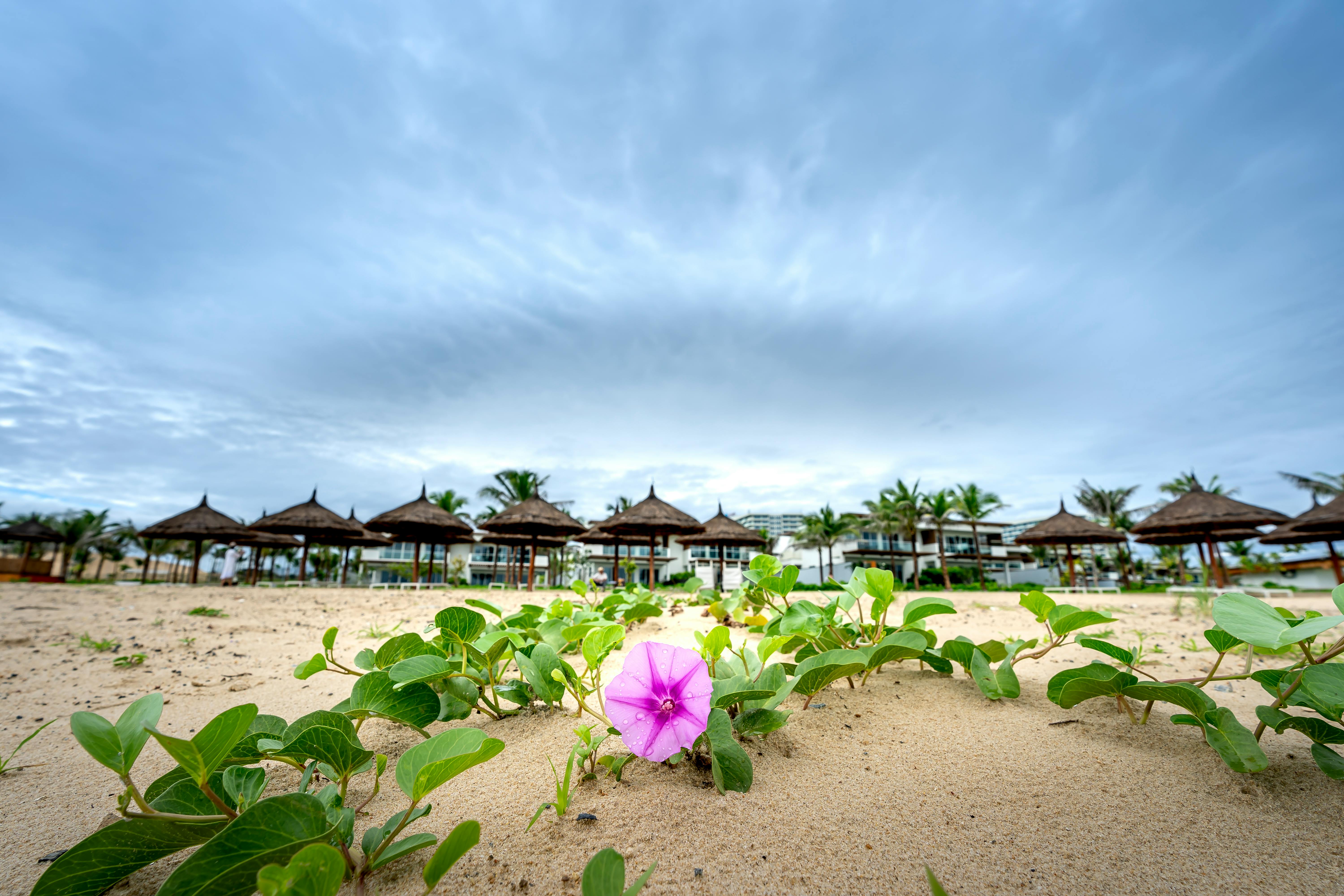 Explore Coastal Cabana: Pasir Ris’ Premier Executive Condo
